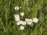 bild1